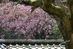 鎌倉-448