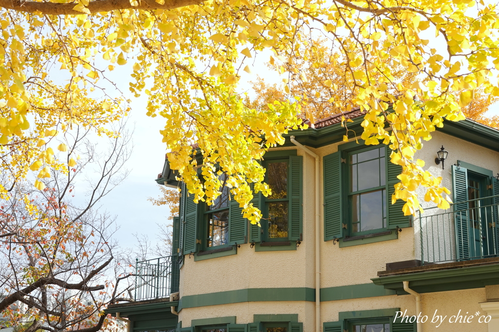 山手イタリア山庭園-162