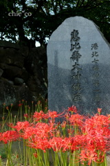 西方寺-264
