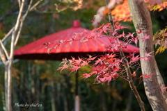 鎌倉　一条恵観山荘