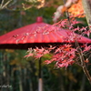 鎌倉　一条恵観山荘