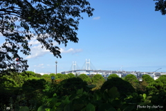 港の見える丘公園-193