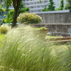 山下公園-092