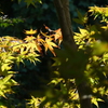 山手・元町-219