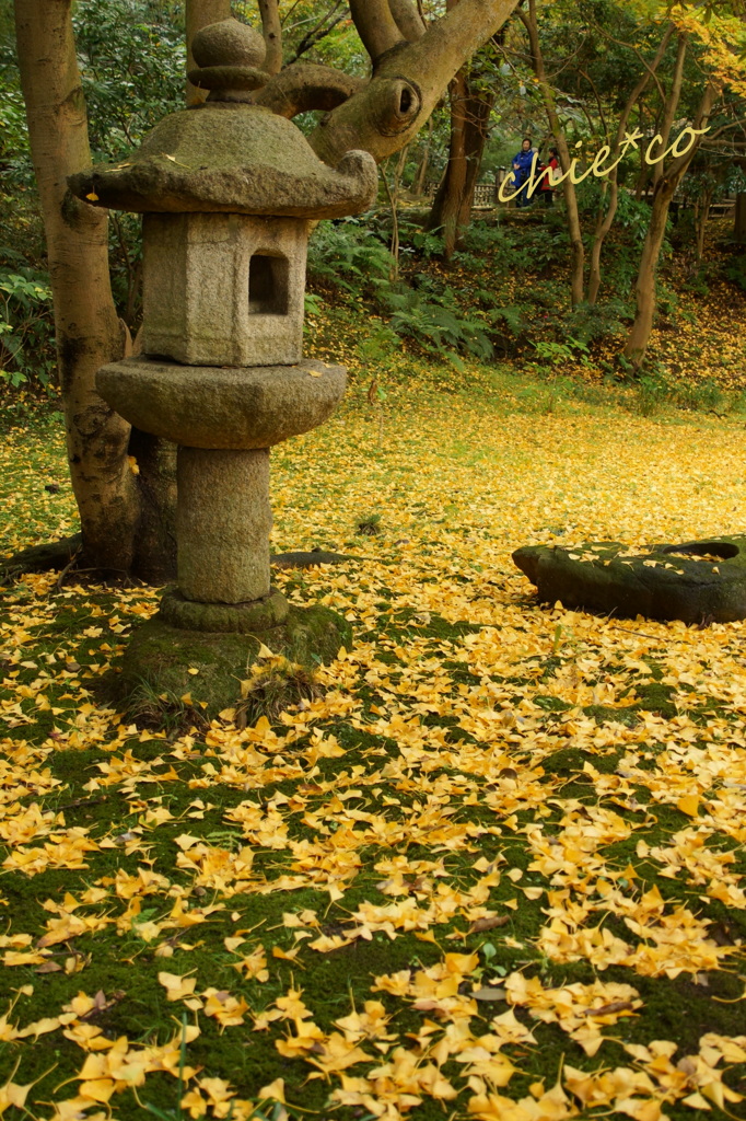 三渓園-300