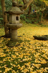 三渓園-300