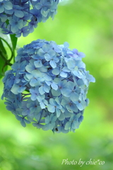 鎌倉-289