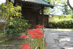 鎌倉-229