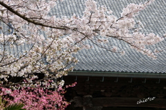 鎌倉-346