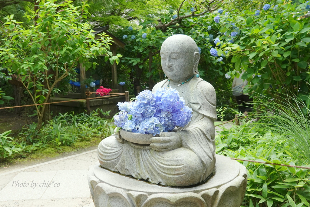 明月院-149