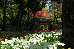 Yokohama-394