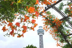 山下公園-122