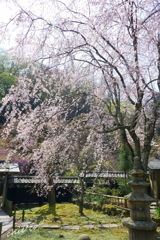 鎌倉-450