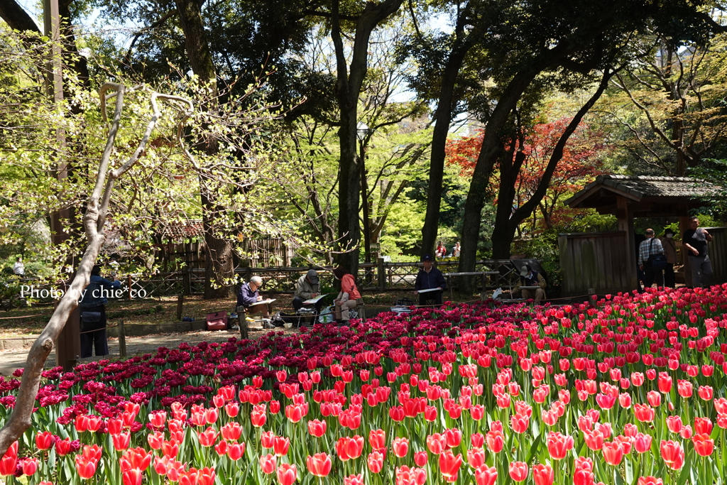 横浜公園-069