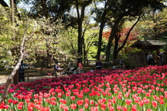 横浜公園-069