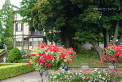 山手イタリア山庭園-106