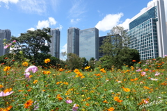 浜離宮恩賜庭園-160