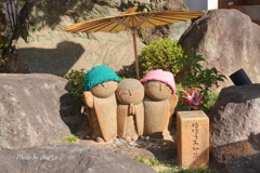 宝徳寺-162