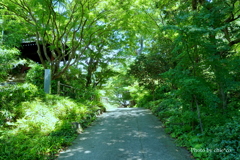鎌倉-108