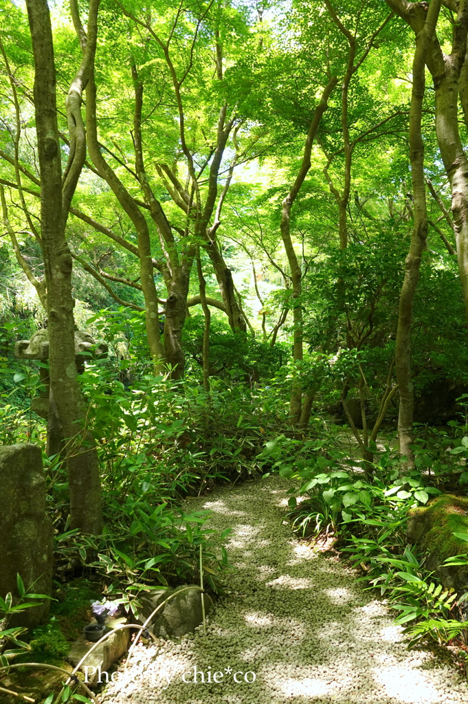 鎌倉-268