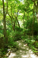 鎌倉-268