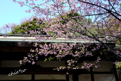 北鎌倉-270