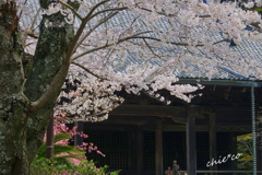 鎌倉-342