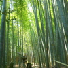 鎌倉-286