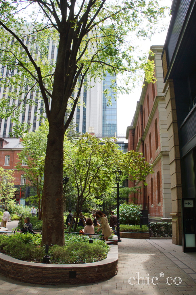 marunouchi-224