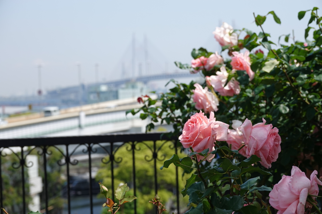アメリカ山公園-009