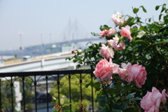 アメリカ山公園-009