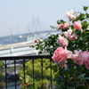 アメリカ山公園-009