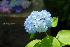 鎌倉-258