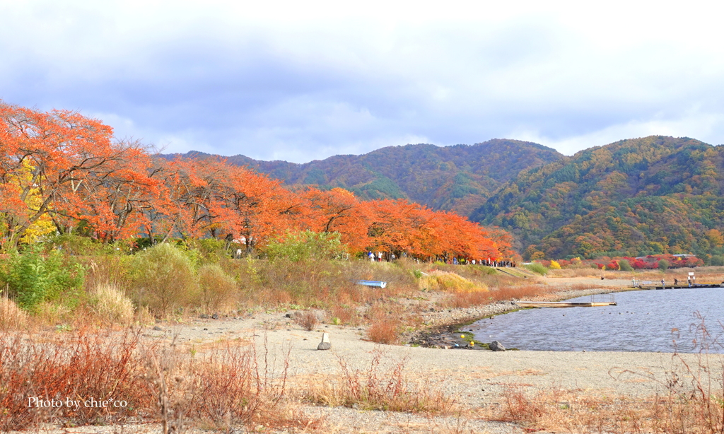 紅葉の河口湖畔-010