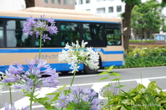 山下公園-101