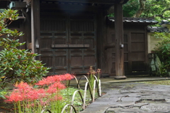 鎌倉 英勝寺-180