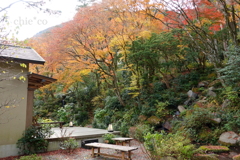 岡田美術館庭園-085