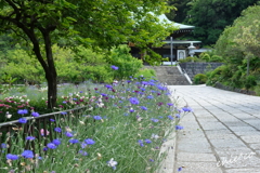龍宝寺-129