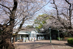 山手公園-032