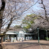 山手公園-032