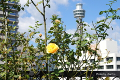 アメリカ山公園-062