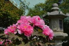 龍華寺 伊藤博文別邸-166
