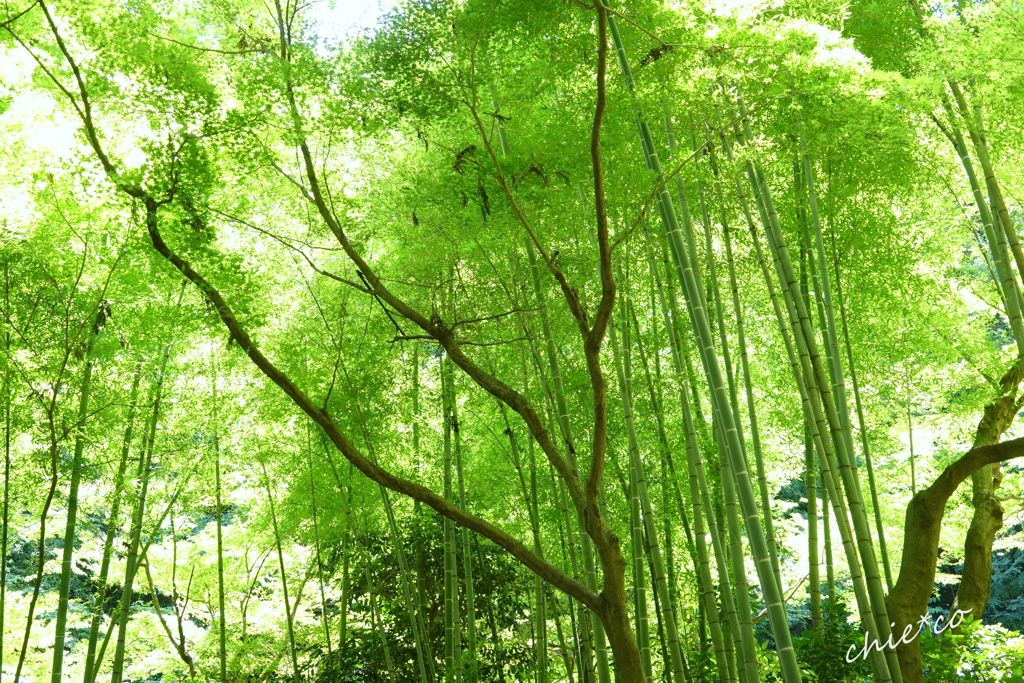 北鎌倉-368