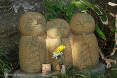 円覚寺-070