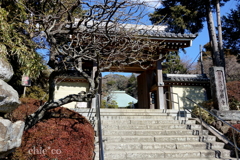 鎌倉-199