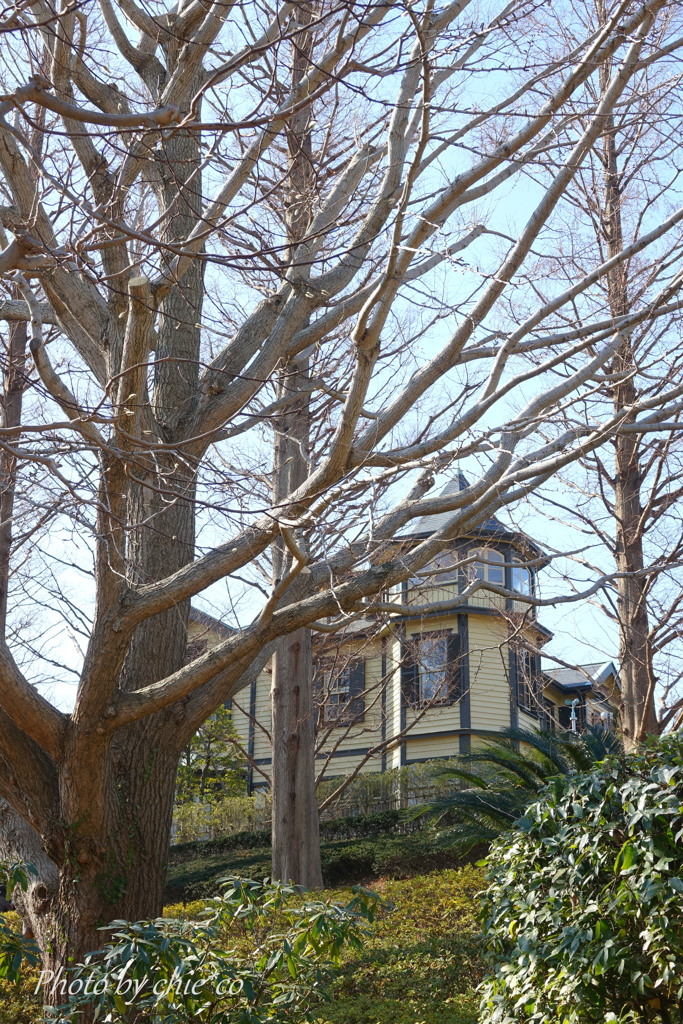 イタリア山庭園-127