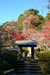 北鎌倉-300