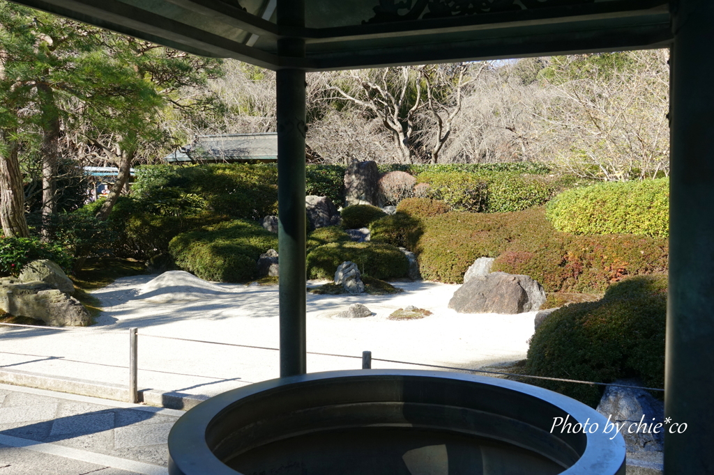 明月院-149