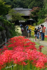 西方寺-168