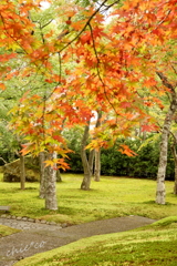 箱根美術館庭園-217